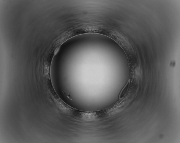 X0000098110281200804041351