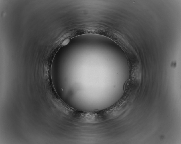 X0000098110282200804041351