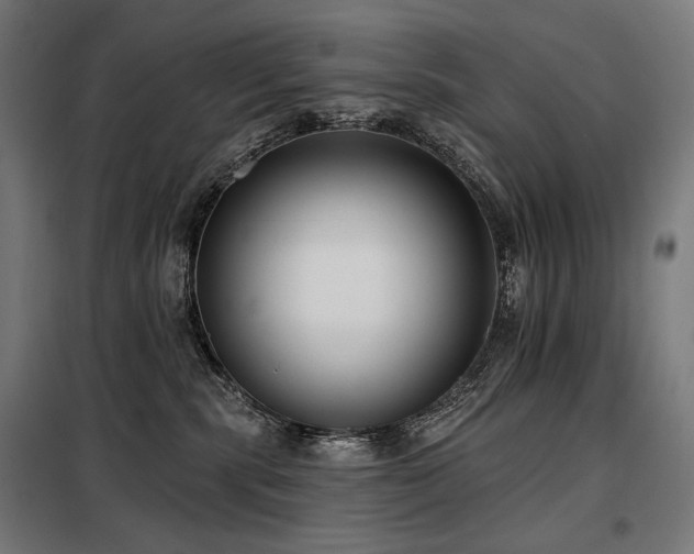 X0000098110283200804041351