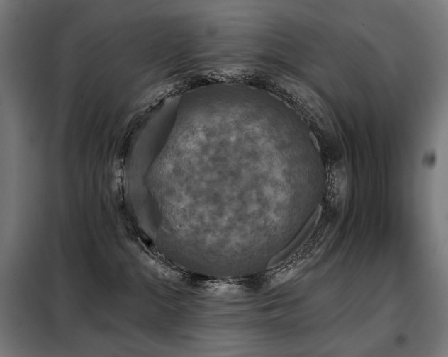 X0000098110284200804041351