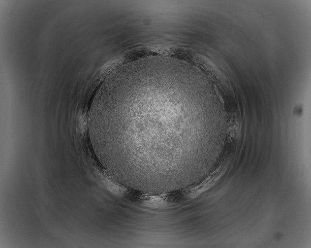 X0000098110285200804041351