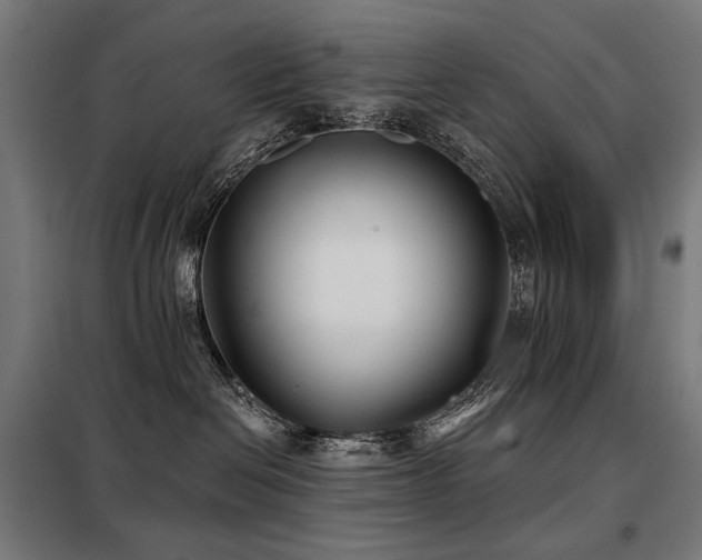 X0000098110286200804041351