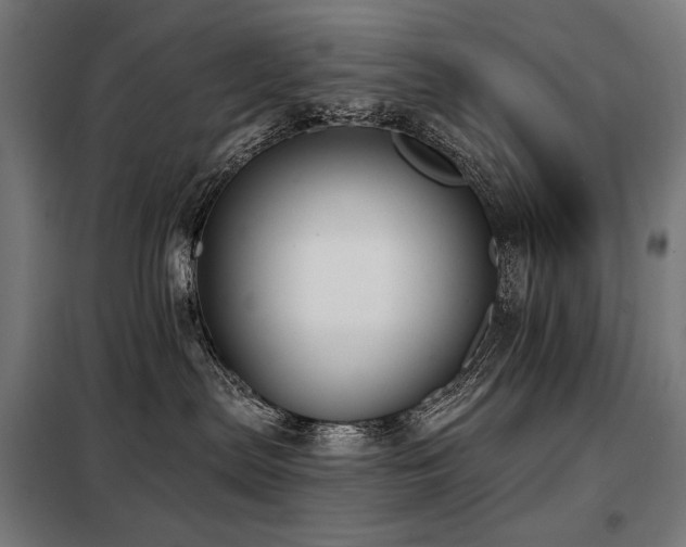 X0000098110287200804041351
