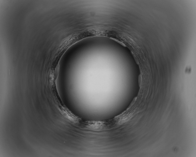 X0000098110288200804041351