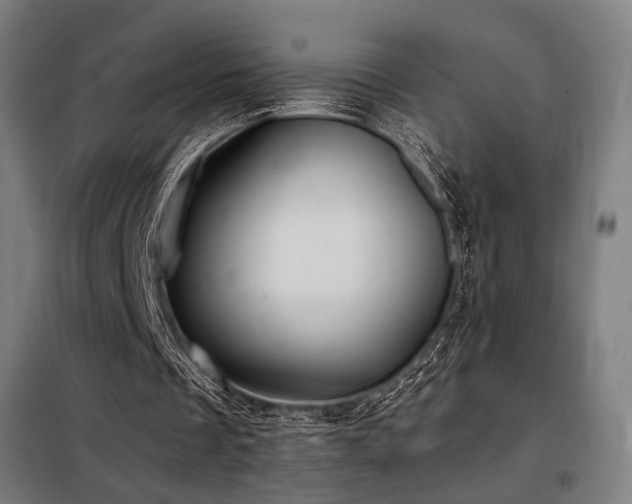 X0000098110289200804041351