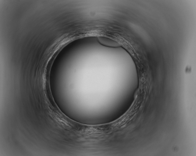 X0000098110290200804041351