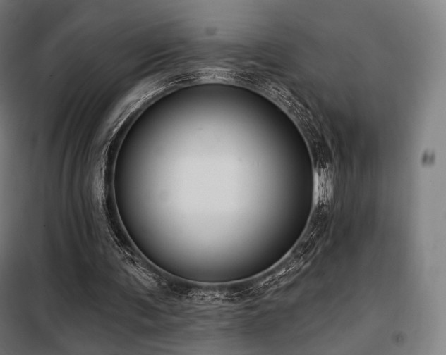 X0000098110291200804041351