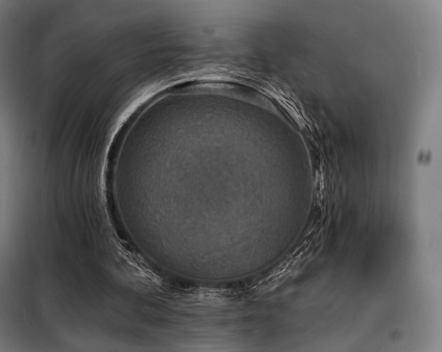 X0000098110292200804041351