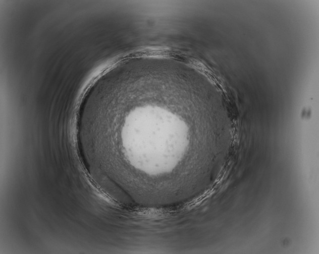 X0000098110293200804041351