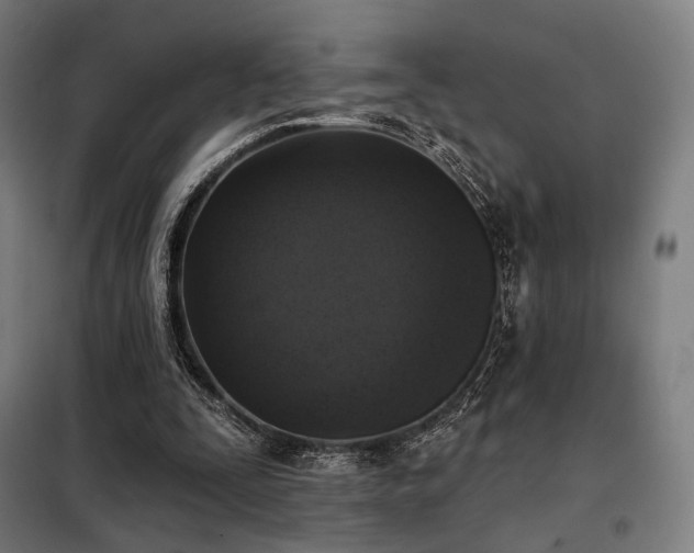 X0000098110295200804041351