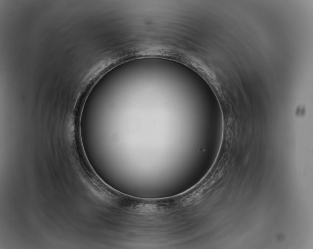 X0000098110298200804041351
