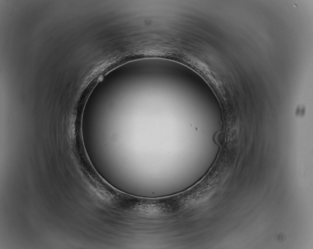 X0000098110299200804041351
