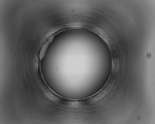 X0000098110301200804041351