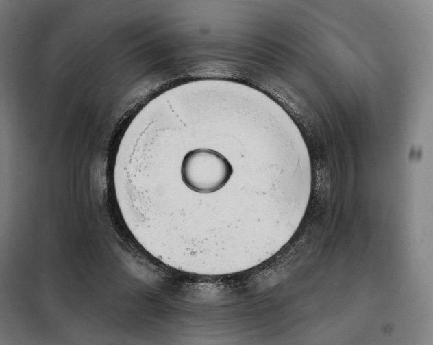 X0000098110302200804041351