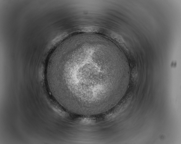 X0000098110303200804041351
