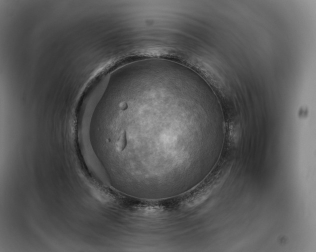 X0000098110304200804041351