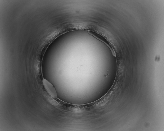 X0000098110305200804041351