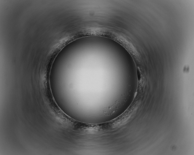 X0000098110306200804041351
