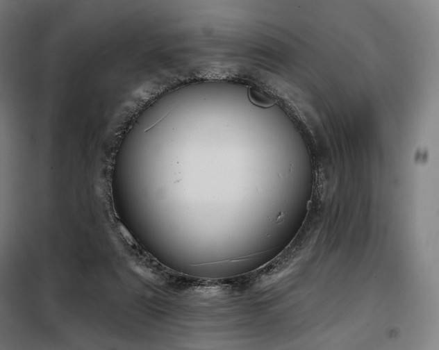 X0000098110307200804041351