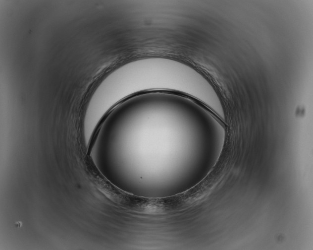 X0000098110308200804041351