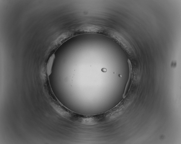 X0000098110309200804041350