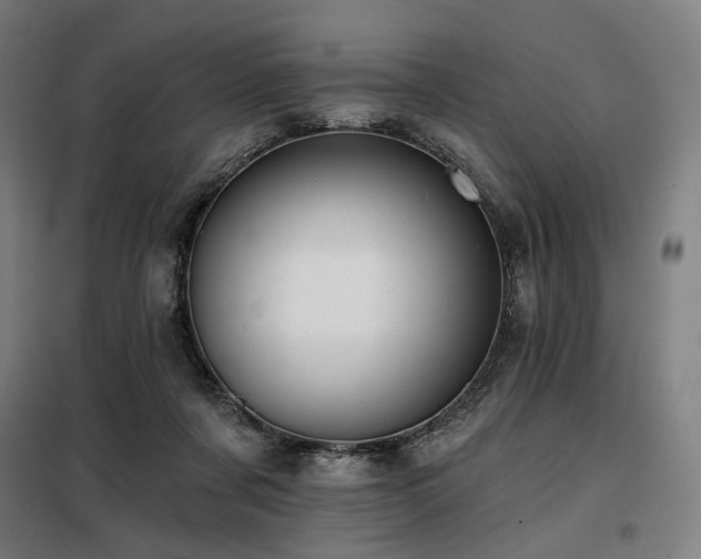 X0000098110311200804041350