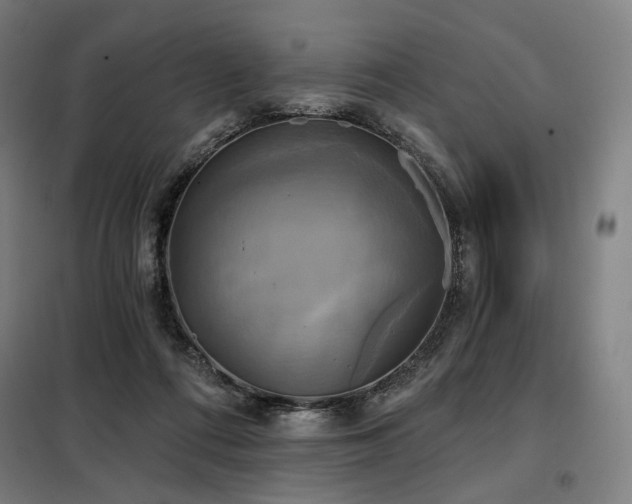X0000098110312200804041350