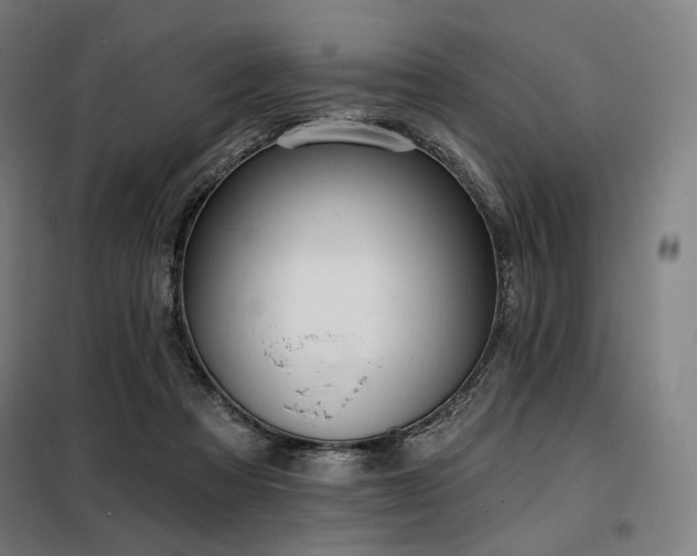 X0000098110313200804041350