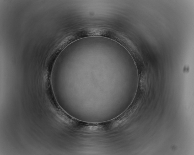 X0000098110314200804041350