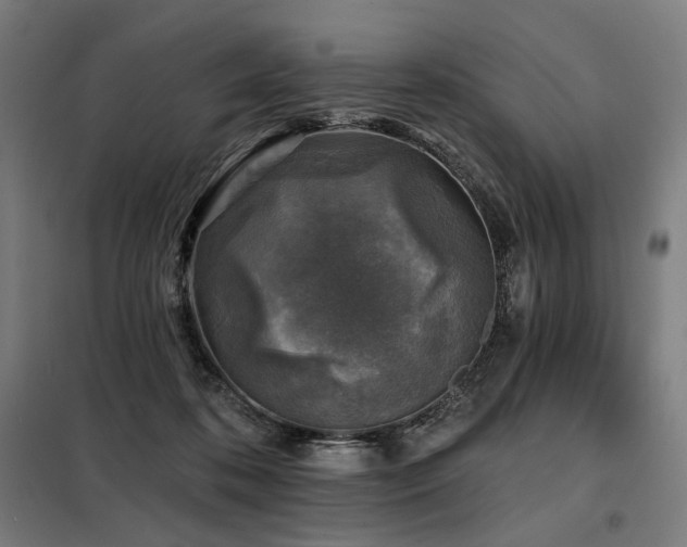 X0000098110316200804041350