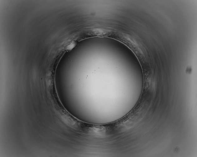 X0000098110317200804041350