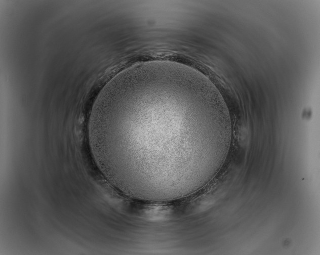 X0000098110319200804041350