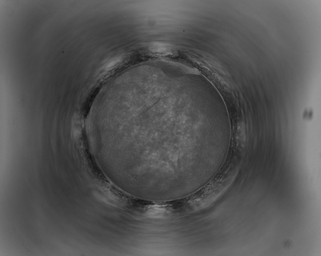 X0000098110320200804041350
