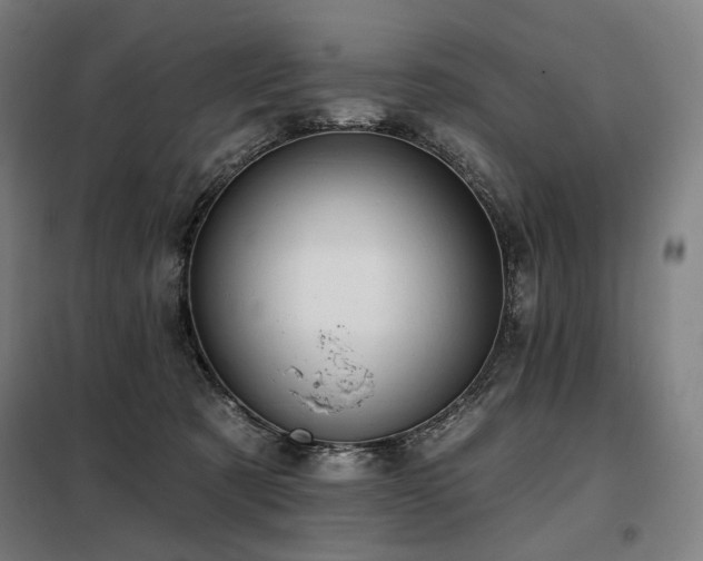 X0000098110321200804041350