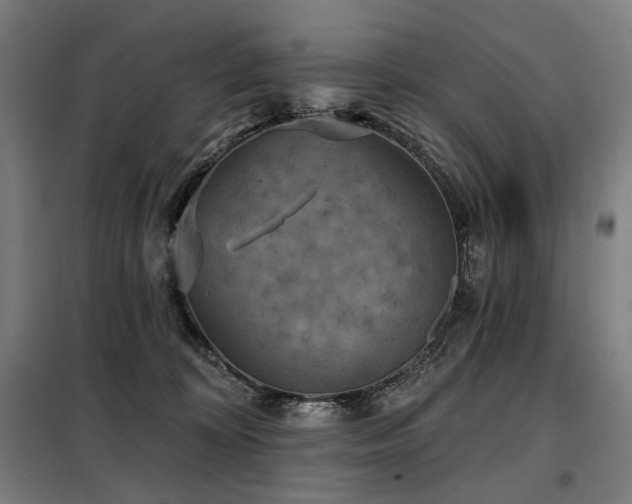X0000098110324200804041350