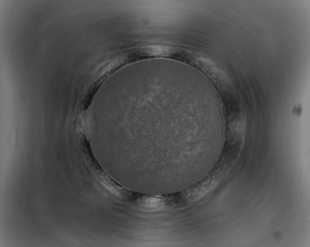 X0000098110325200804041350