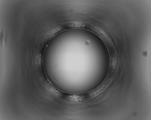 X0000098110326200804041350
