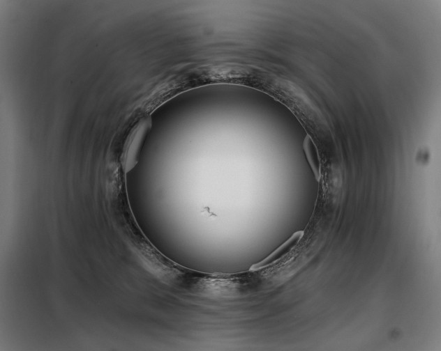 X0000098110327200804041350
