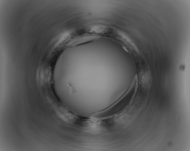 X0000098110328200804041350