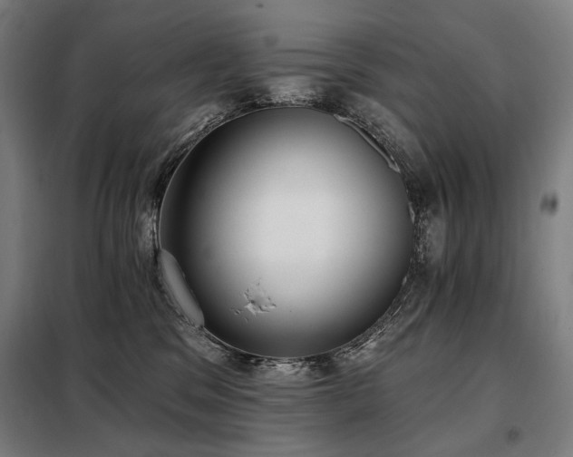 X0000098110329200804041350