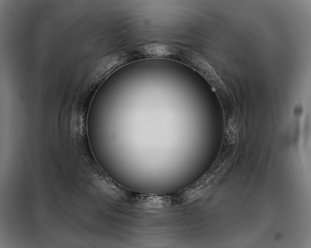 X0000098110330200804041350
