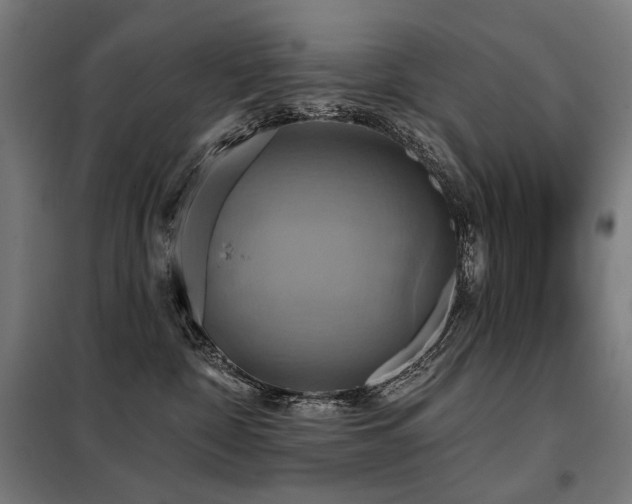 X0000098110332200804041350