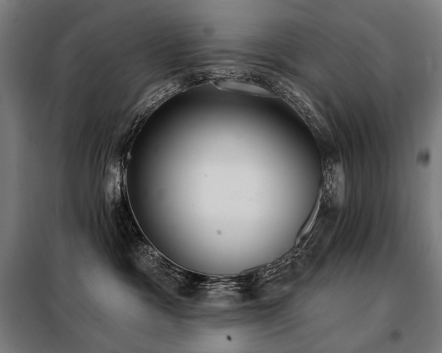 X0000098110333200804041350