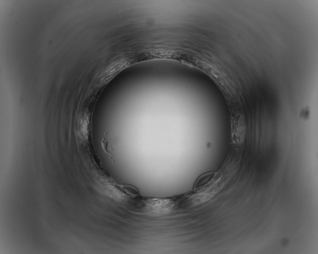 X0000098110334200804041350
