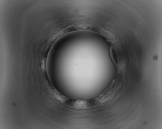 X0000098110335200804041350