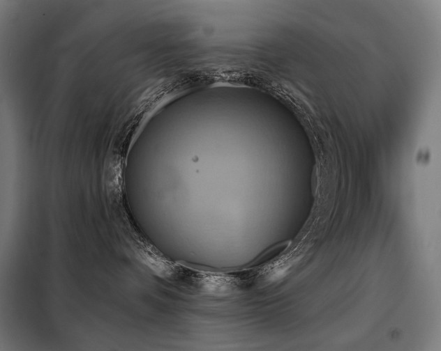 X0000098110336200804041350