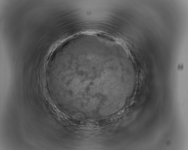 X0000098110337200804041349