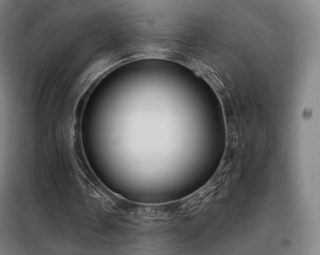 X0000098110338200804041349