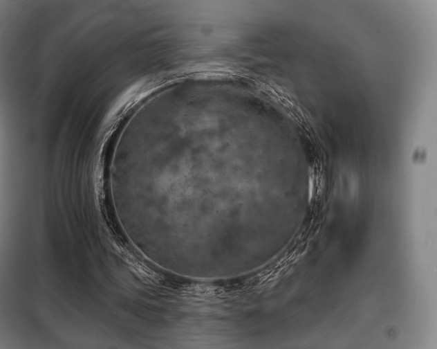 X0000098110339200804041349