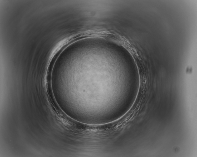 X0000098110340200804041349